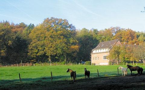 Forsthaus Schöntal Aachen